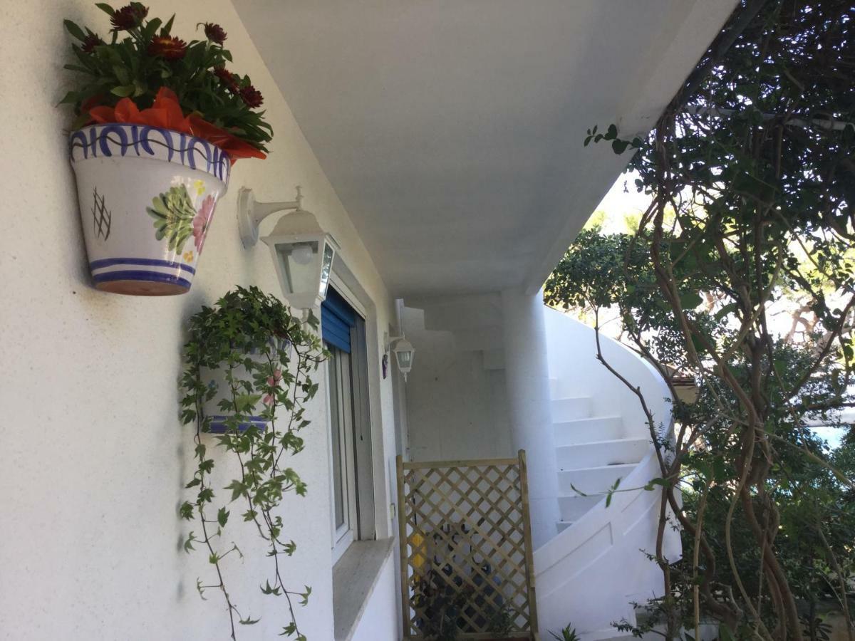 B&B Viadelmare Patù エクステリア 写真